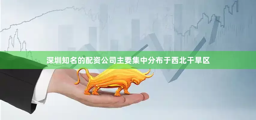 深圳知名的配资公司主要集中分布于西北干旱区