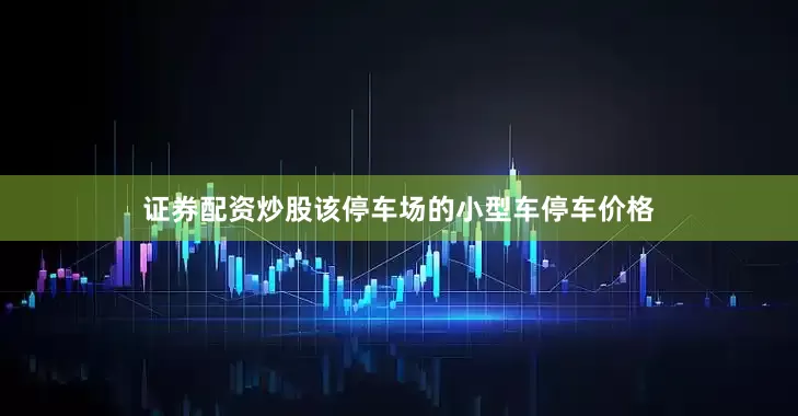 证券配资炒股该停车场的小型车停车价格