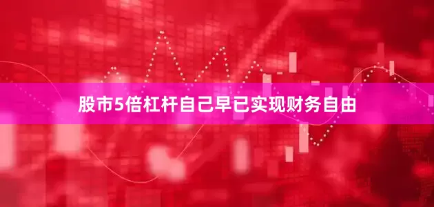 股市5倍杠杆自己早已实现财务自由